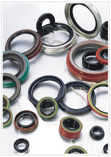 Oil-seal